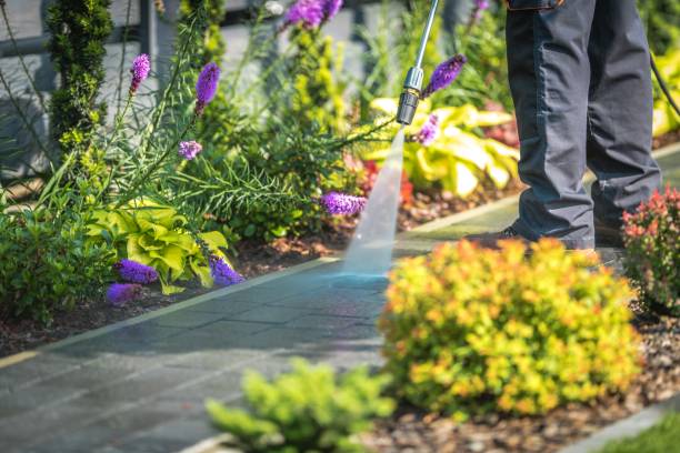 Best Pool Deck Cleaning  in Hebron, IN