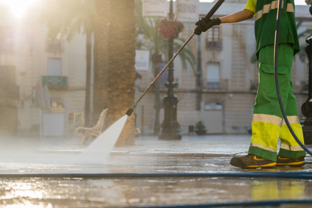 Best Roof Washing  in Hebron, IN